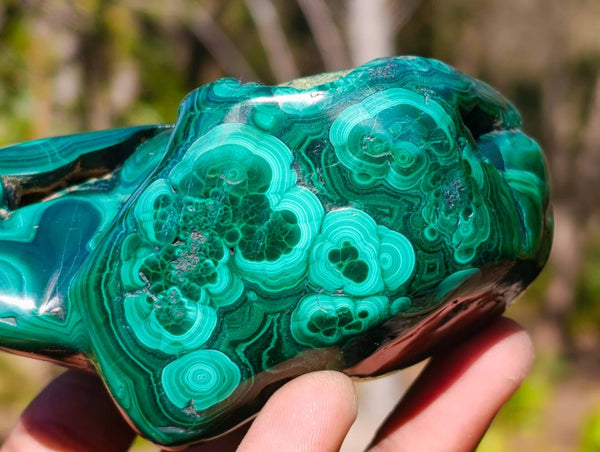 Polished Flower Banded Malachite Free Forms x 3 From Congo