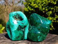 Polished Flower Banded Malachite Free Forms x 3 From Congo