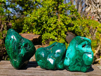 Polished Flower Banded Malachite Free Forms x 3 From Congo