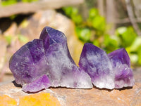 Natural Dark Amethyst Clusters x 12 From Zambia