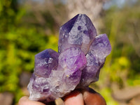 Natural Dark Amethyst Clusters x 12 From Zambia