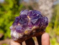 Natural Dark Amethyst Clusters x 12 From Zambia