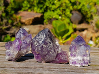 Natural Dark Amethyst Clusters x 12 From Zambia