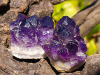 Natural Dark Amethyst Clusters x 12 From Zambia