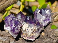 Natural Dark Amethyst Clusters x 12 From Zambia