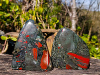 Polished Bloodstone Standing Free Forms x 3 From Swaziland