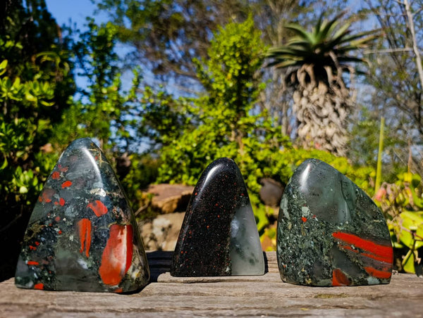 Polished Bloodstone Standing Free Forms x 3 From Swaziland