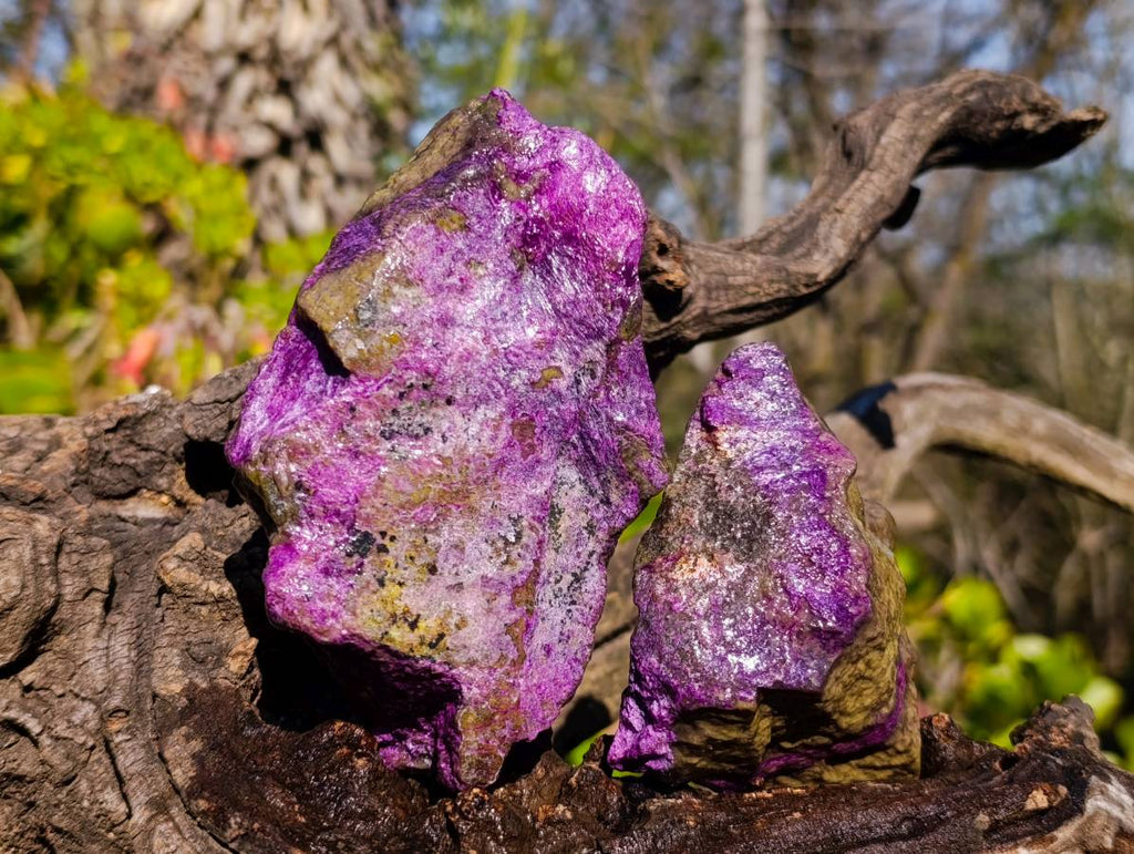 Natural Stichtite Specimens x 6 From Barberton, South Africa - Toprock Gemstones and Minerals 