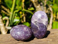 Polished Lepidolite with Pink Rubellite Palm Stones x 20 From Ambatondrazaka, Madagascar