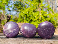 Polished Lepidolite with Pink Rubellite Palm Stones x 20 From Ambatondrazaka, Madagascar