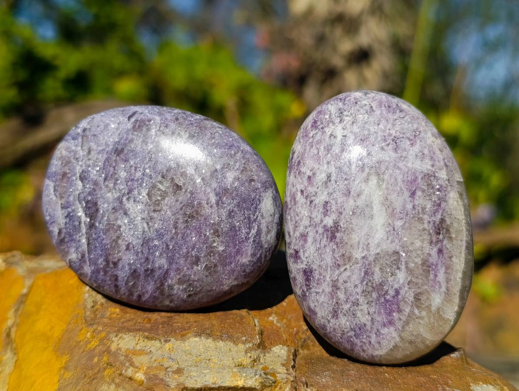 Polished Lepidolite with Pink Rubellite Palm Stones x 20 From Ambatondrazaka, Madagascar - Toprock Gemstones and Minerals 