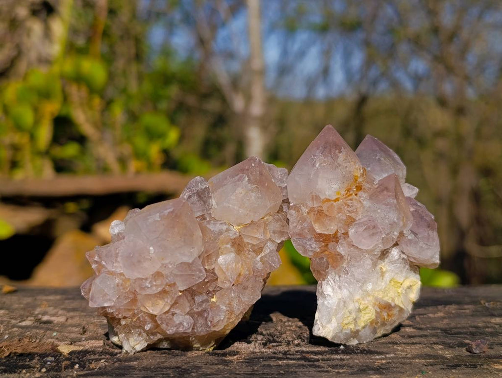 Natural Spirit Quartz Clusters x 15 From South Africa - Toprock Gemstones and Minerals 