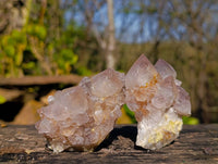 Natural Spirit Quartz Clusters x 15 From South Africa