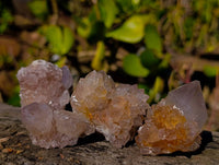 Natural Spirit Quartz Clusters x 15 From South Africa