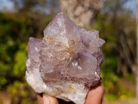 Natural Spirit Quartz Clusters x 15 From South Africa