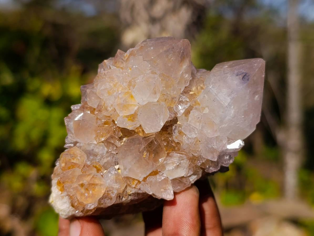 Natural Spirit Quartz Clusters x 15 From South Africa - Toprock Gemstones and Minerals 