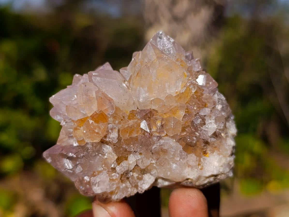 Natural Spirit Quartz Clusters x 15 From South Africa - Toprock Gemstones and Minerals 