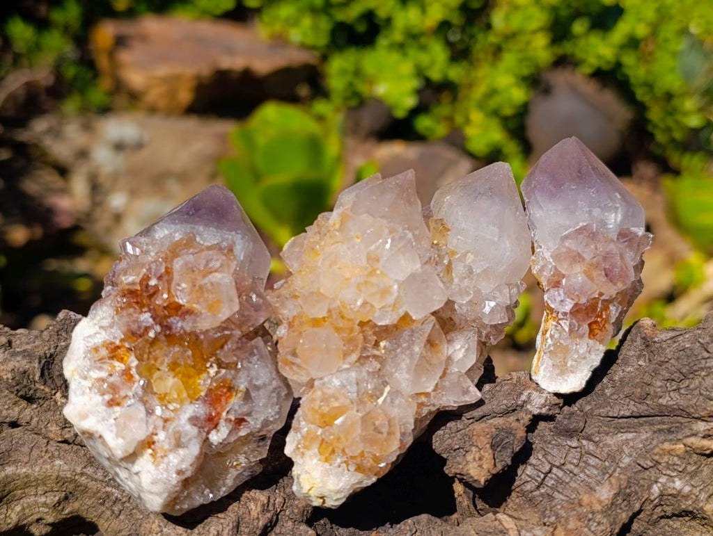 Natural Spirit Quartz Clusters x 15 From South Africa - Toprock Gemstones and Minerals 