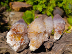 Natural Spirit Quartz Clusters x 15 From South Africa - Toprock Gemstones and Minerals 
