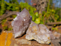 Natural Spirit Quartz Clusters x 15 From South Africa