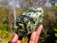 Polished Leopard Stone Standing Free Forms x 6 From Zimbabwe
