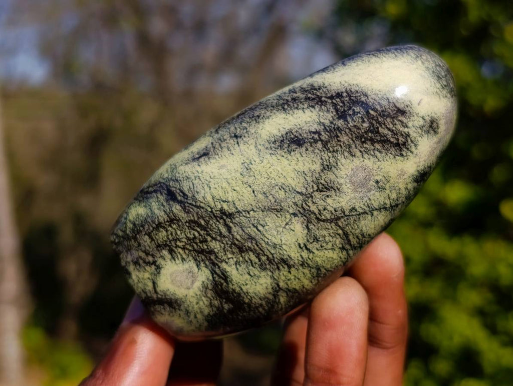 Polished Leopard Stone Standing Free Forms x 6 From Zimbabwe - Toprock Gemstones and Minerals 