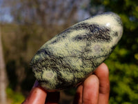 Polished Leopard Stone Standing Free Forms x 6 From Zimbabwe