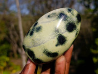 Polished Leopard Stone Standing Free Forms x 6 From Zimbabwe