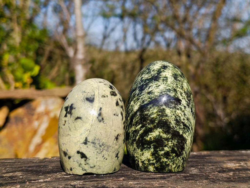 Polished Leopard Stone Standing Free Forms x 6 From Zimbabwe - Toprock Gemstones and Minerals 
