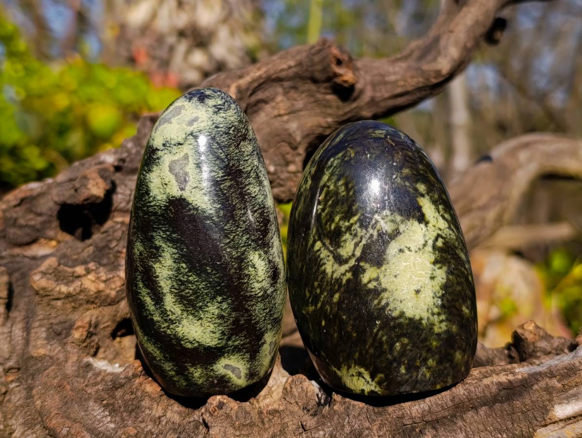 Polished Leopard Stone Standing Free Forms x 6 From Zimbabwe - Toprock Gemstones and Minerals 