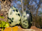 Polished Leopard Stone Standing Free Forms x 6 From Zimbabwe - Toprock Gemstones and Minerals 