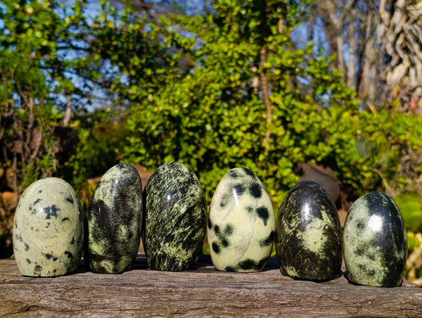 Polished Leopard Stone Standing Free Forms x 6 From Zimbabwe