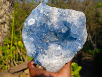 Natural Celestite Geode Specimen x 1 From Sakoany, Madagascar