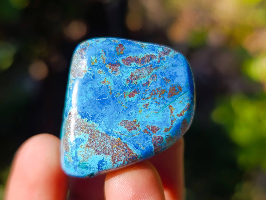 Polished Shattuckite Free Forms x 35 From Congo - Toprock Gemstones and Minerals 