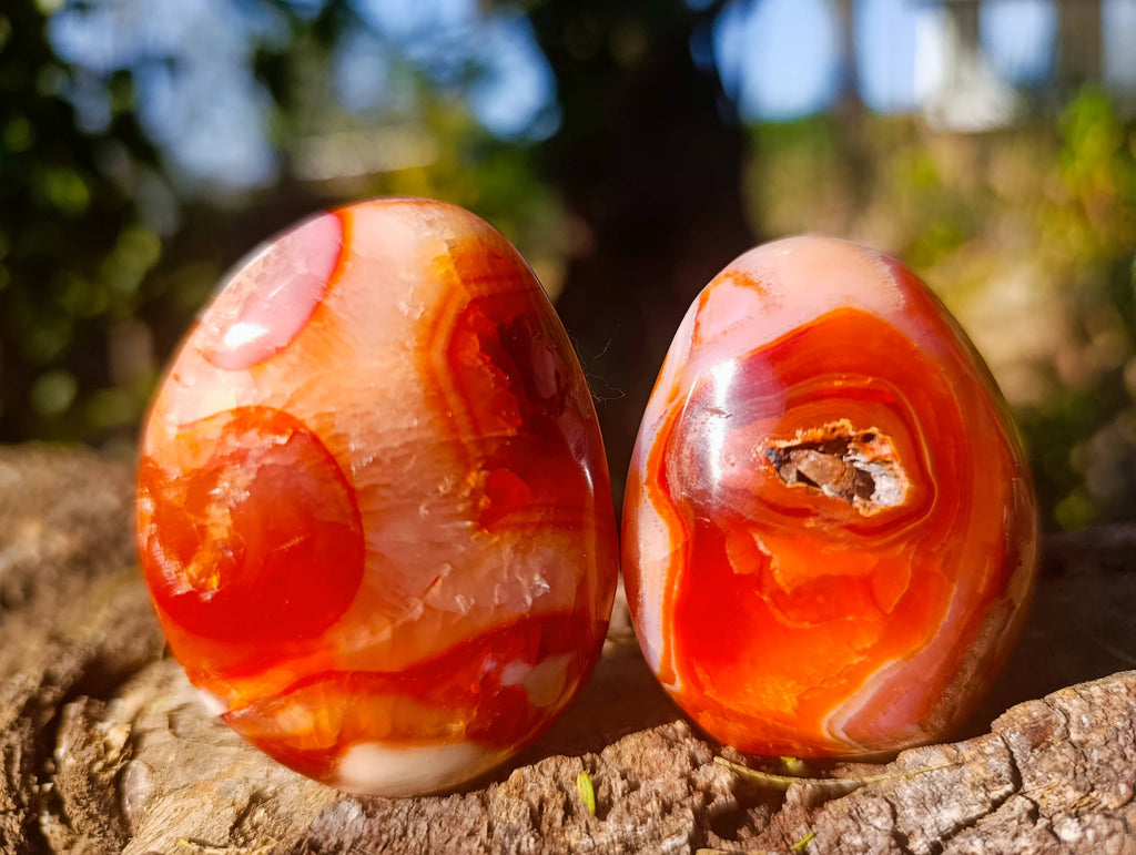 Polished Carnelian Agate Palm Stones x 12 From Madagascar - Toprock Gemstones and Minerals 