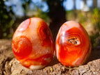 Polished Carnelian Agate Palm Stones x 12 From Madagascar - Toprock Gemstones and Minerals 