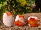 Polished Carnelian Agate Palm Stones x 12 From Madagascar - Toprock Gemstones and Minerals 