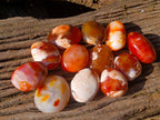 Polished Carnelian Agate Palm Stones x 12 From Madagascar - Toprock Gemstones and Minerals 