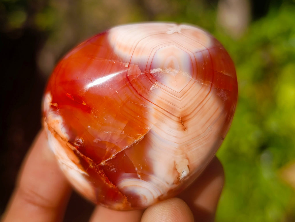 Polished Carnelian Agate Palm Stones x 12 From Madagascar - Toprock Gemstones and Minerals 