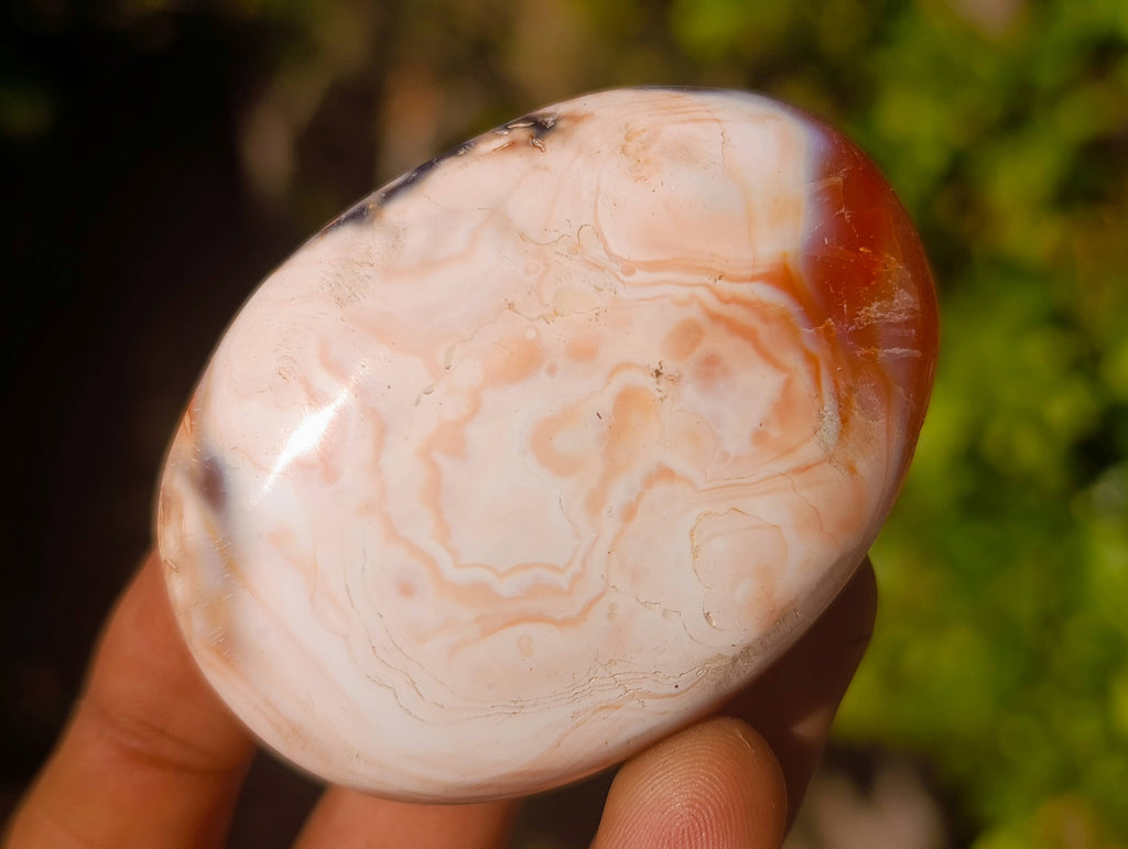 Polished Carnelian Agate Palm Stones x 12 From Madagascar - Toprock Gemstones and Minerals 
