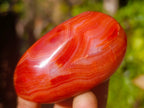 Polished Carnelian Agate Palm Stones x 12 From Madagascar - Toprock Gemstones and Minerals 
