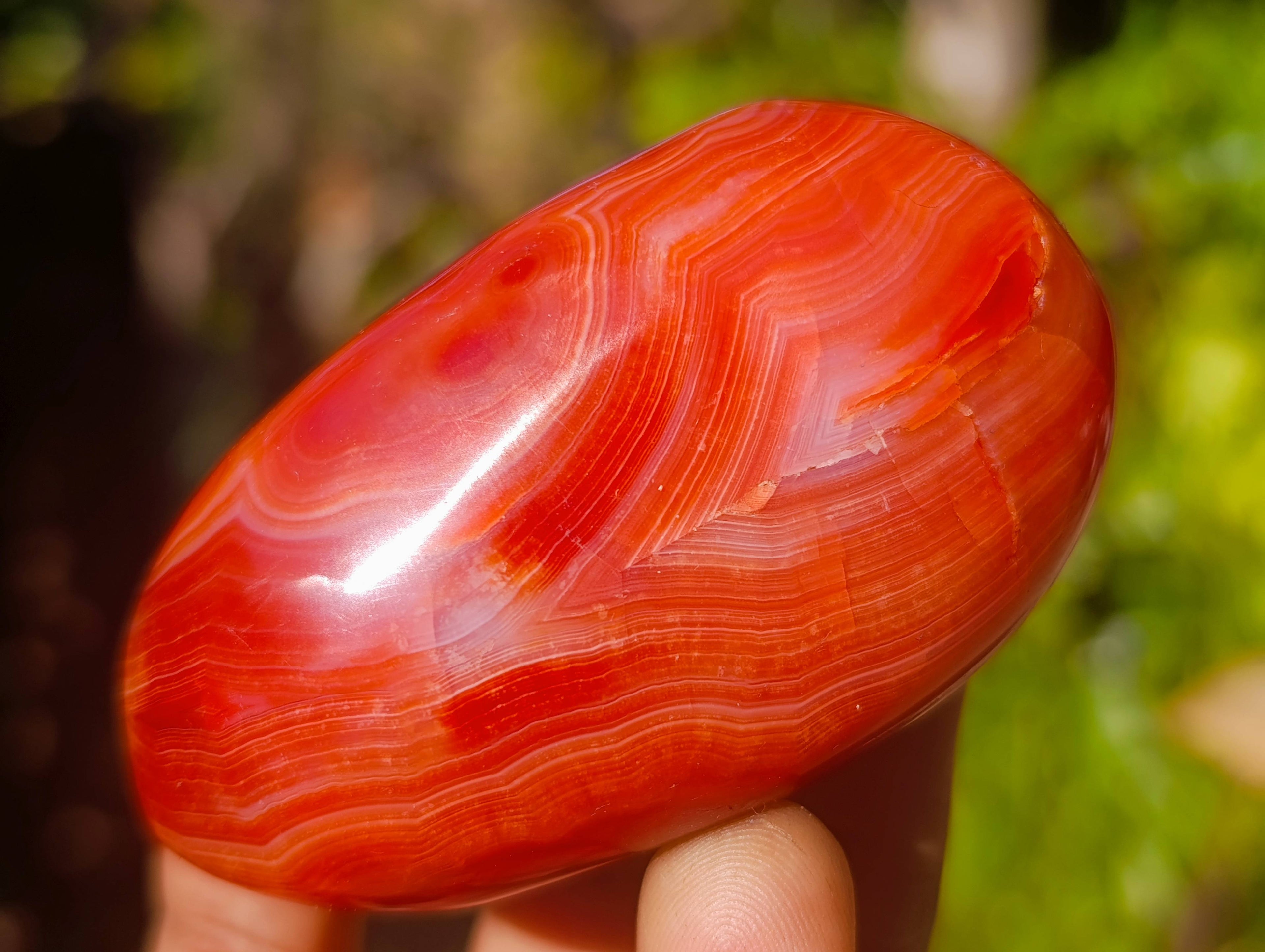 Polished Carnelian Agate Palm Stones x 12 From Madagascar - Toprock Gemstones and Minerals 