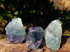 Natural Watermelon Fluorite Cobbed Specimens x 35 From Namibia - Toprock Gemstones and Minerals 