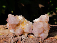 Natural Amethyst Spirit Quartz Clusters x 12 From South Africa - Toprock Gemstones and Minerals 