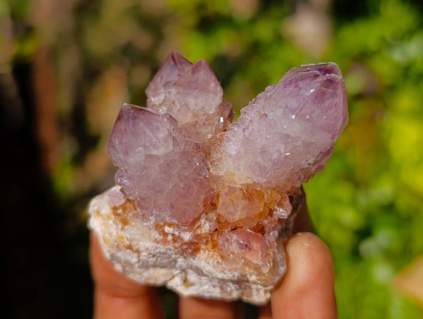 Natural Amethyst Spirit Quartz Clusters x 12 From South Africa - Toprock Gemstones and Minerals 