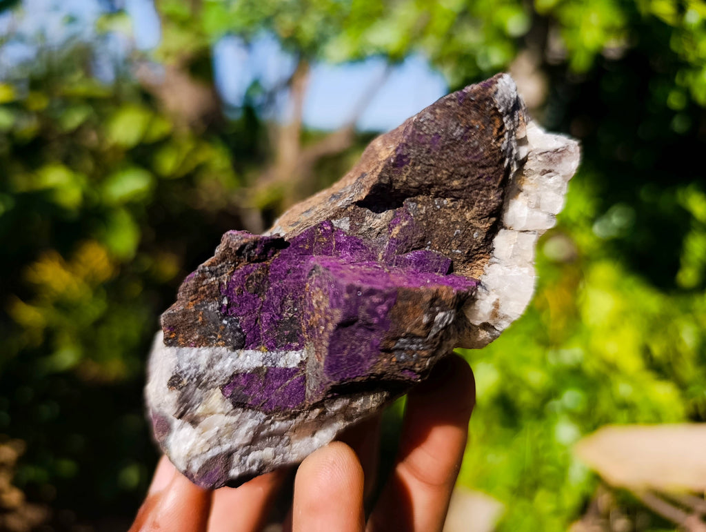 Natural Metallic Purpurite Specimens x 12 From Erongo, Namibia - Toprock Gemstones and Minerals 