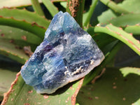 Natural Watermelon Fluorite Cobbed Specimens x 20 From Namibia