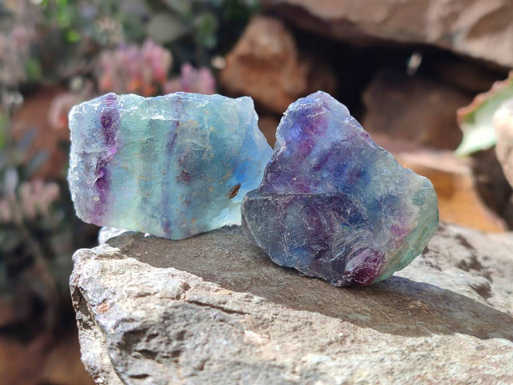 Natural Watermelon Fluorite Cobbed Specimens x 20 From Namibia - Toprock Gemstones and Minerals 