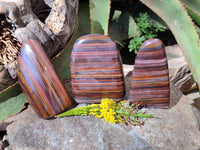 Polished Banded Tiger Iron Standing Free Forms x 3 From South Africa