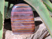 Polished Banded Tiger Iron Standing Free Forms x 3 From South Africa